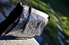 BORSA PARTICOLARE