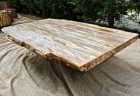 arredo legno fossile